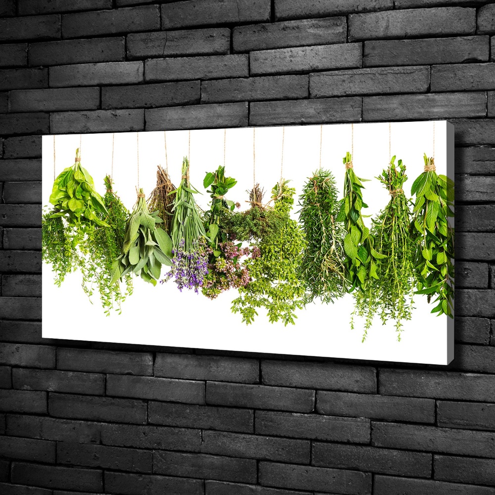 Canvas wall art Herbs on a string