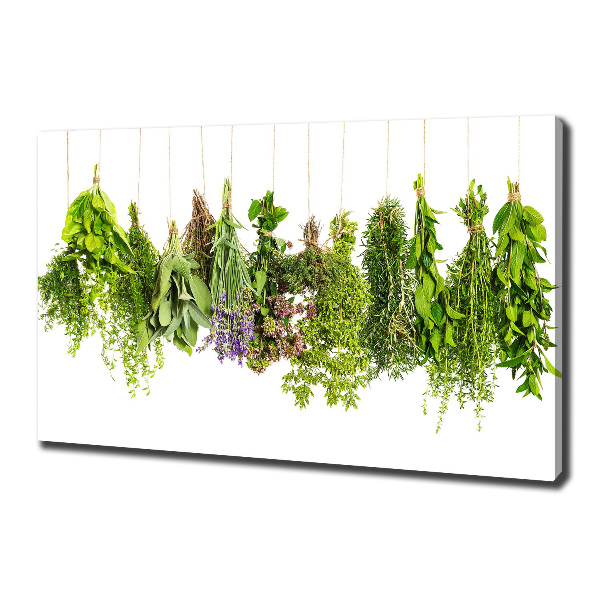 Canvas wall art Herbs on a string