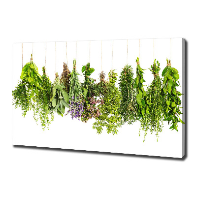 Canvas wall art Herbs on a string