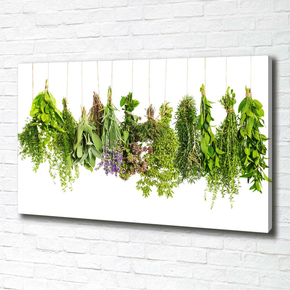 Canvas wall art Herbs on a string