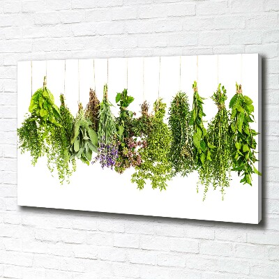 Canvas wall art Herbs on a string