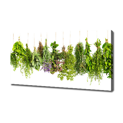 Canvas wall art Herbs on a string