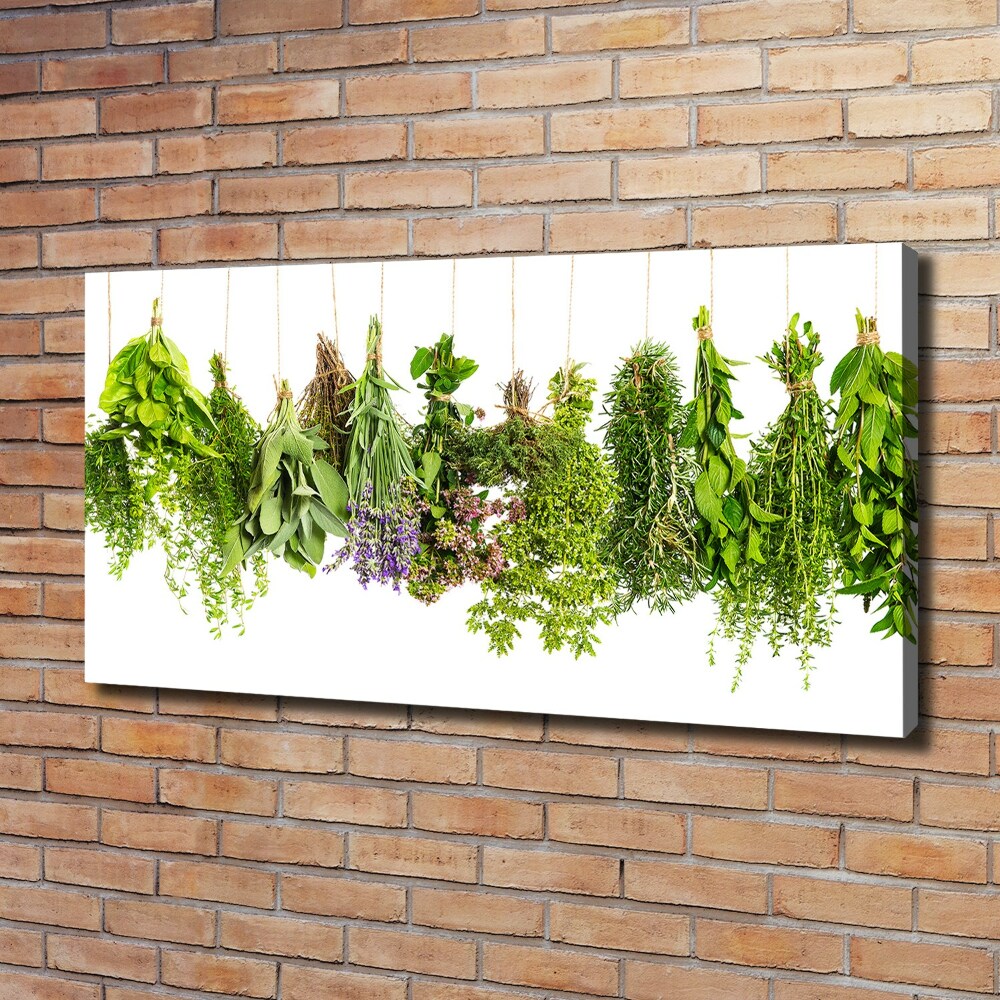 Canvas wall art Herbs on a string