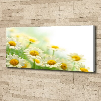 Canvas wall art Daisy