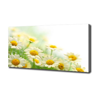 Canvas wall art Daisy