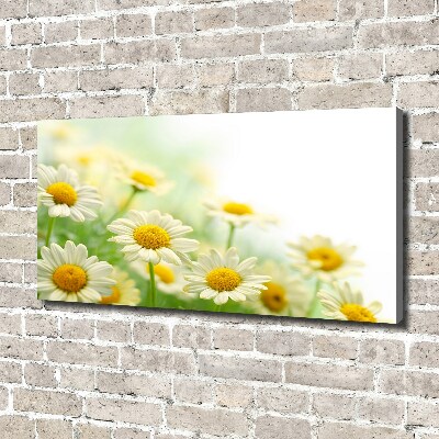 Canvas wall art Daisy