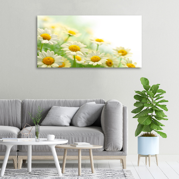 Canvas wall art Daisy