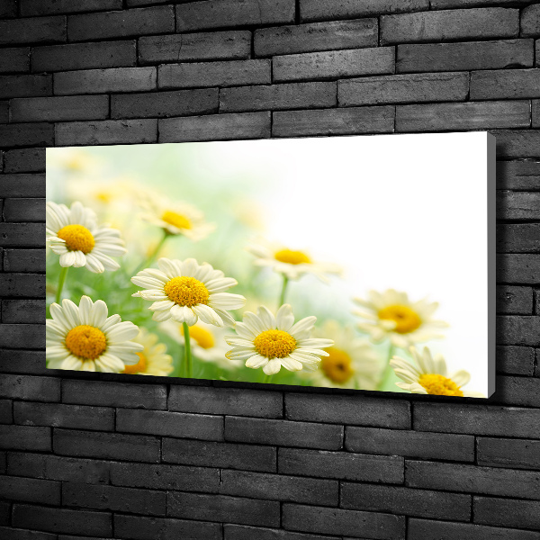 Canvas wall art Daisy