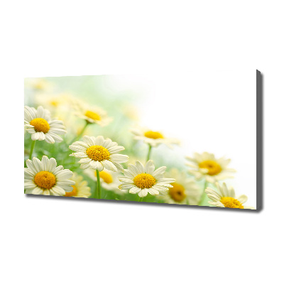 Canvas wall art Daisy