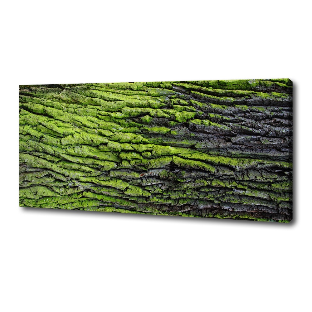 Canvas wall art Tree bark