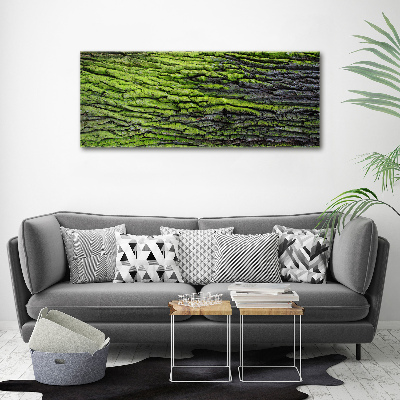 Canvas wall art Tree bark