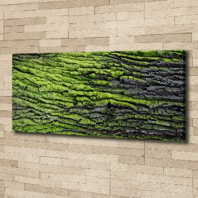 Canvas wall art Tree bark