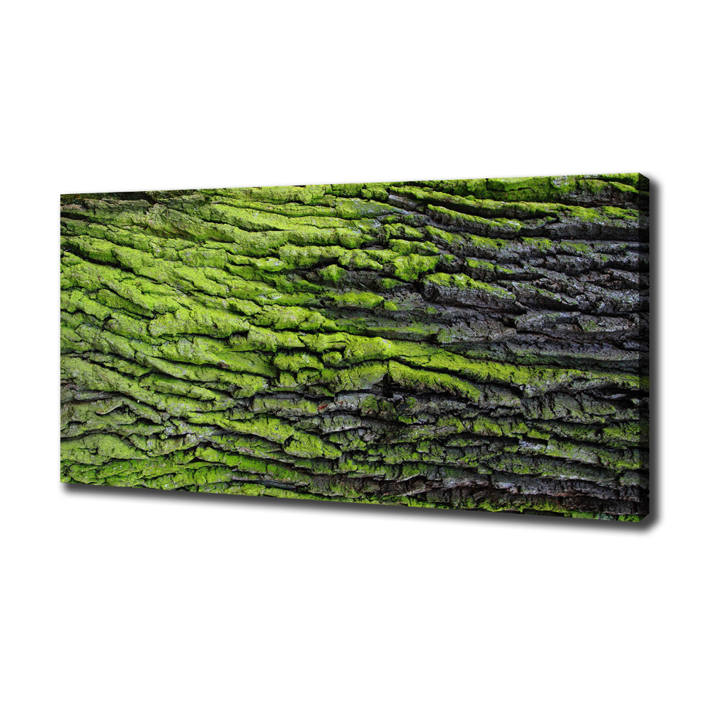 Canvas wall art Tree bark