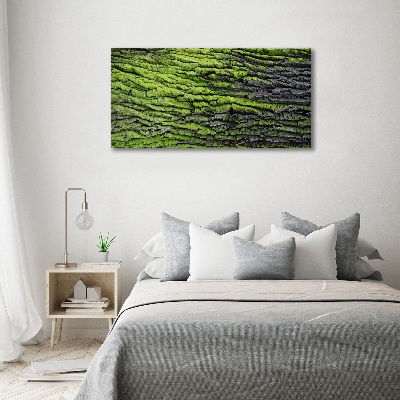 Canvas wall art Tree bark