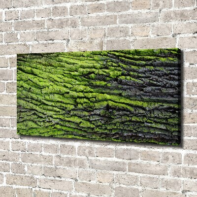 Canvas wall art Tree bark