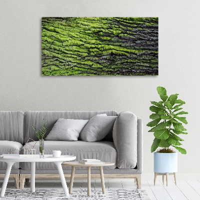 Canvas wall art Tree bark