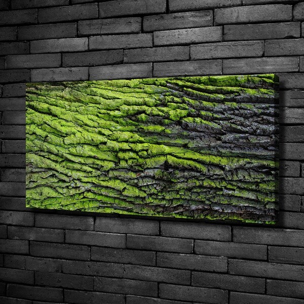 Canvas wall art Tree bark