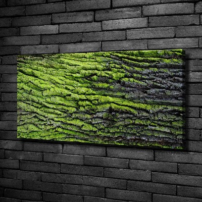 Canvas wall art Tree bark