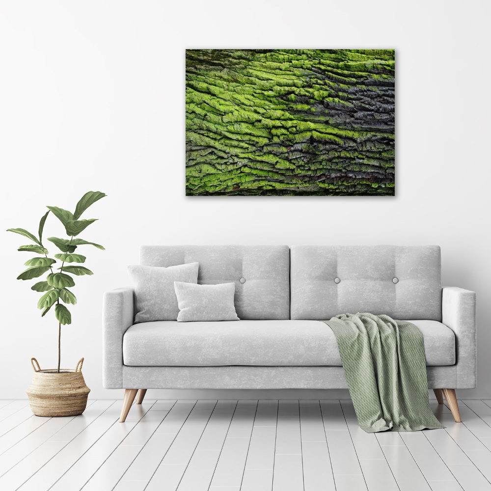 Canvas wall art Tree bark