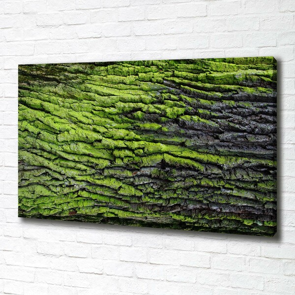 Canvas wall art Tree bark