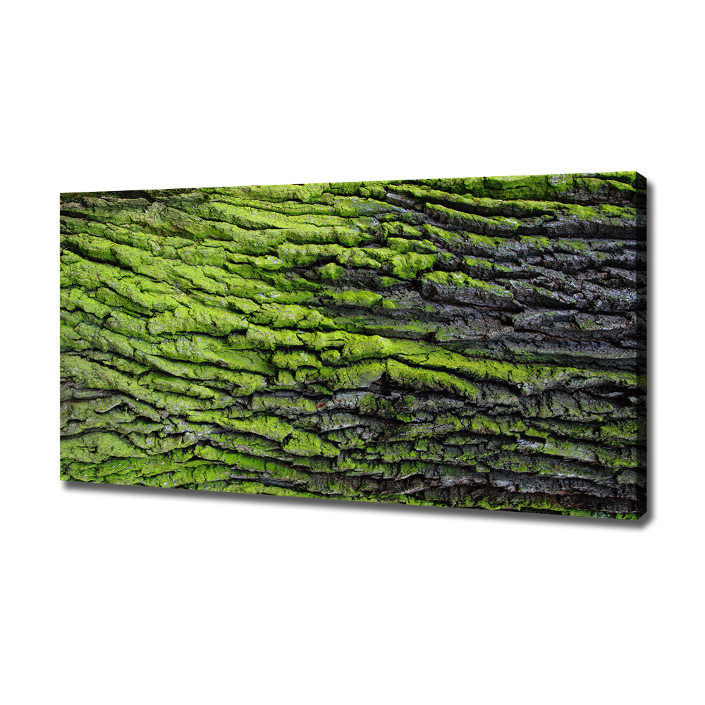 Canvas wall art Tree bark