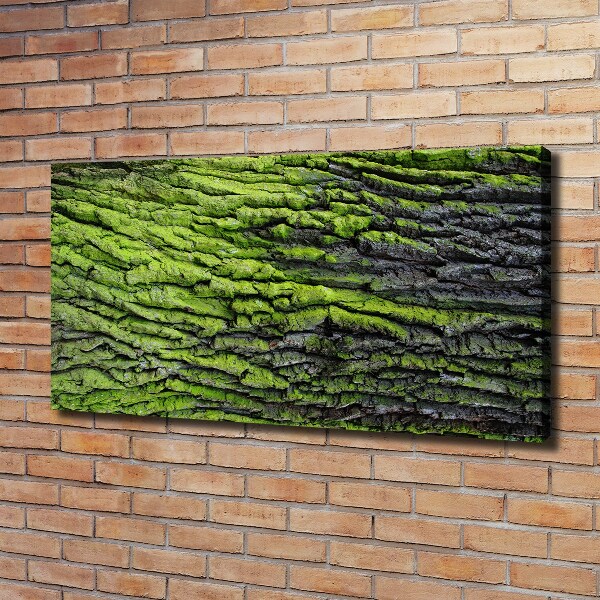 Canvas wall art Tree bark