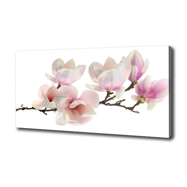 Canvas wall art Magnolia