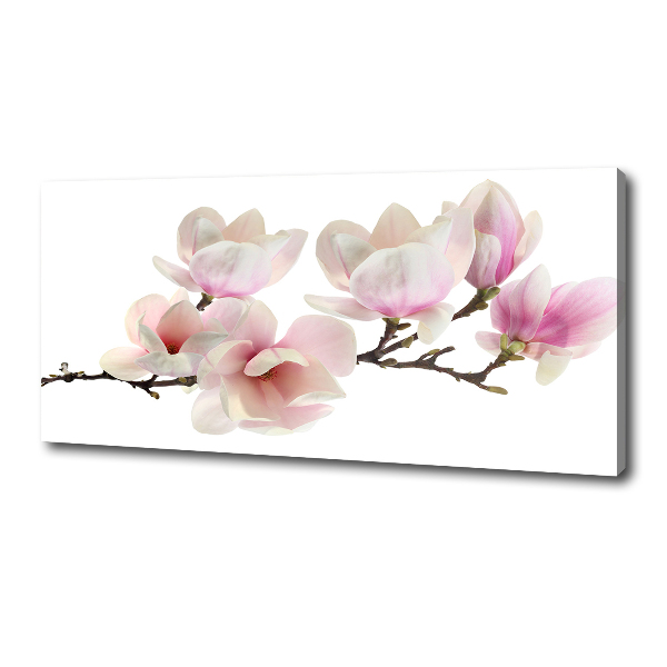 Canvas wall art Magnolia