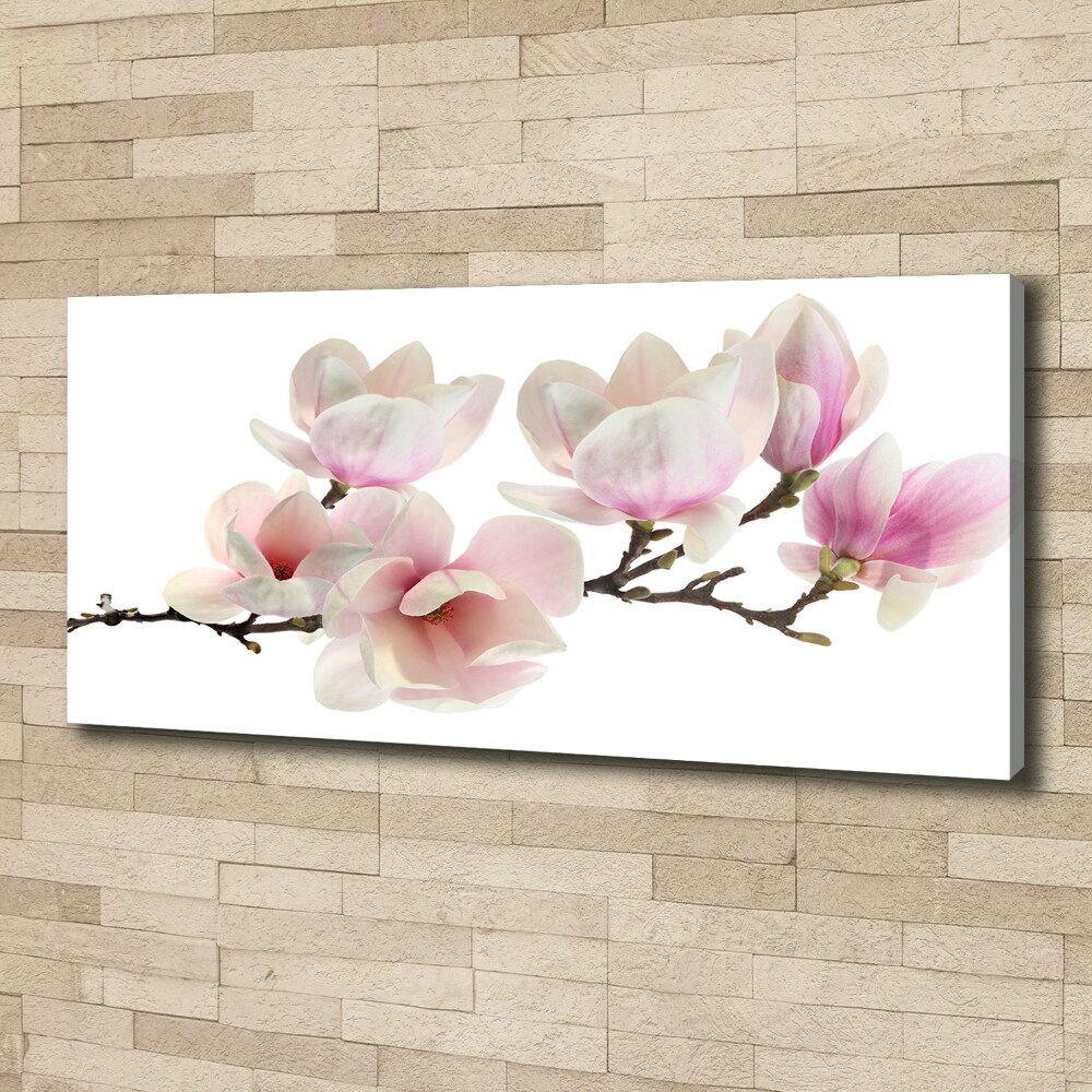 Canvas wall art Magnolia