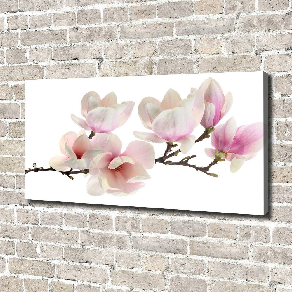 Canvas wall art Magnolia