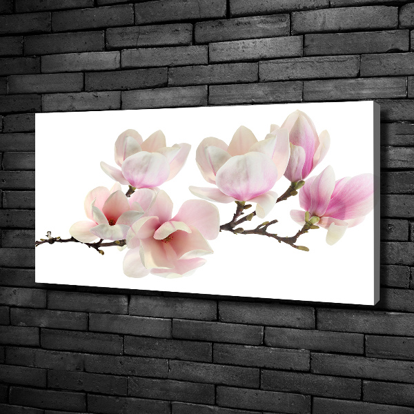 Canvas wall art Magnolia