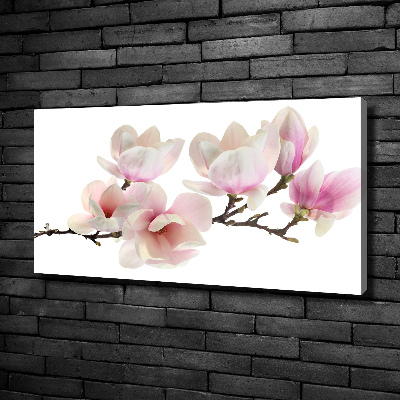 Canvas wall art Magnolia