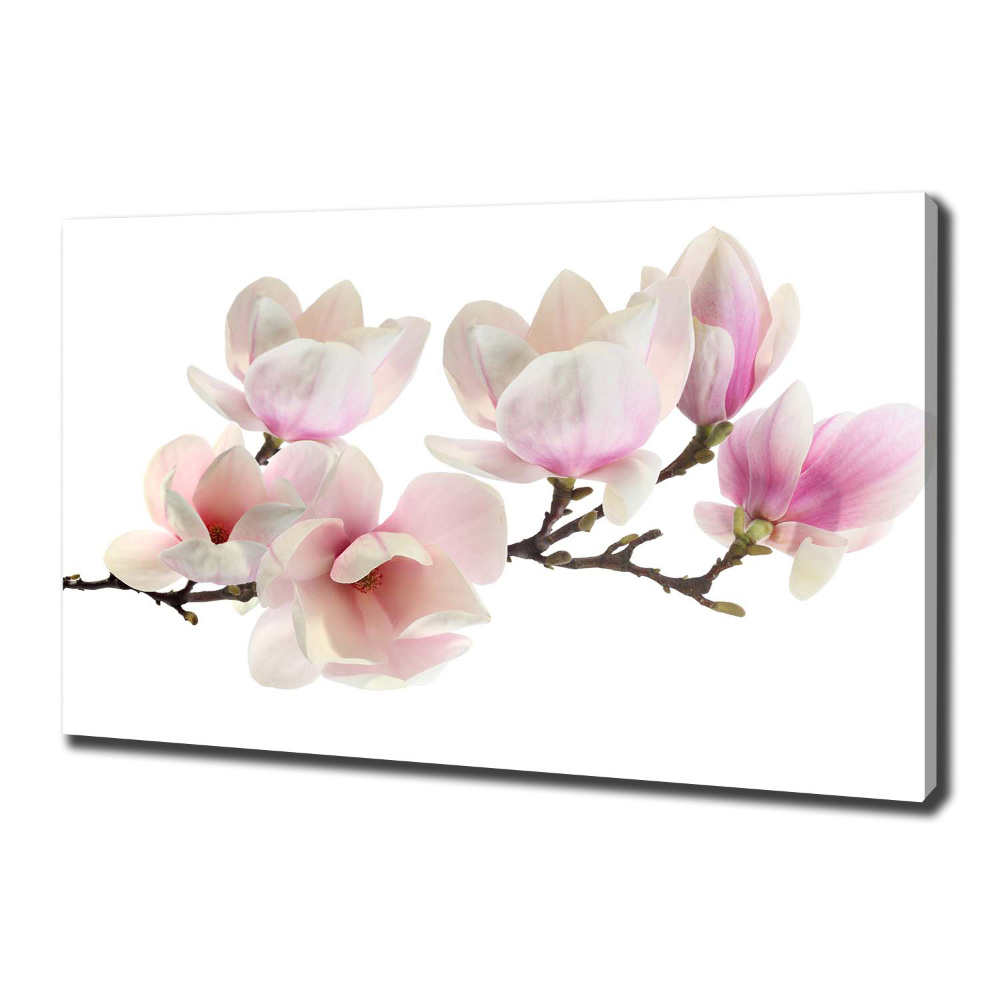 Canvas wall art Magnolia