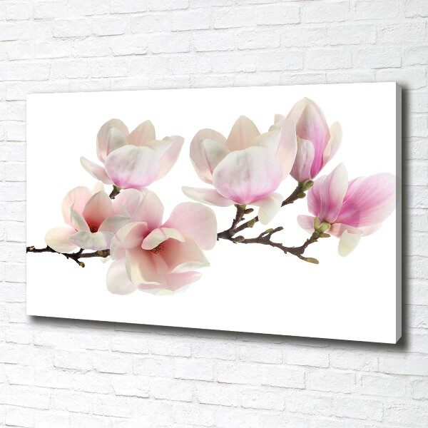 Canvas wall art Magnolia