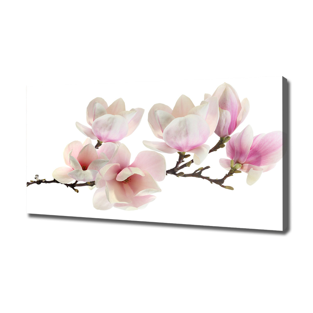 Canvas wall art Magnolia