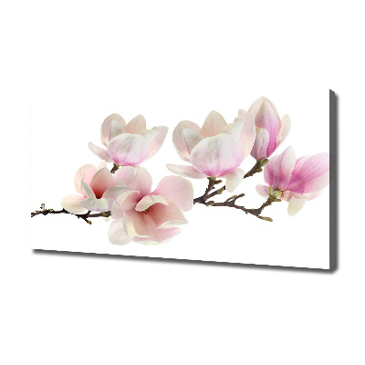 Canvas wall art Magnolia