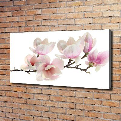 Canvas wall art Magnolia