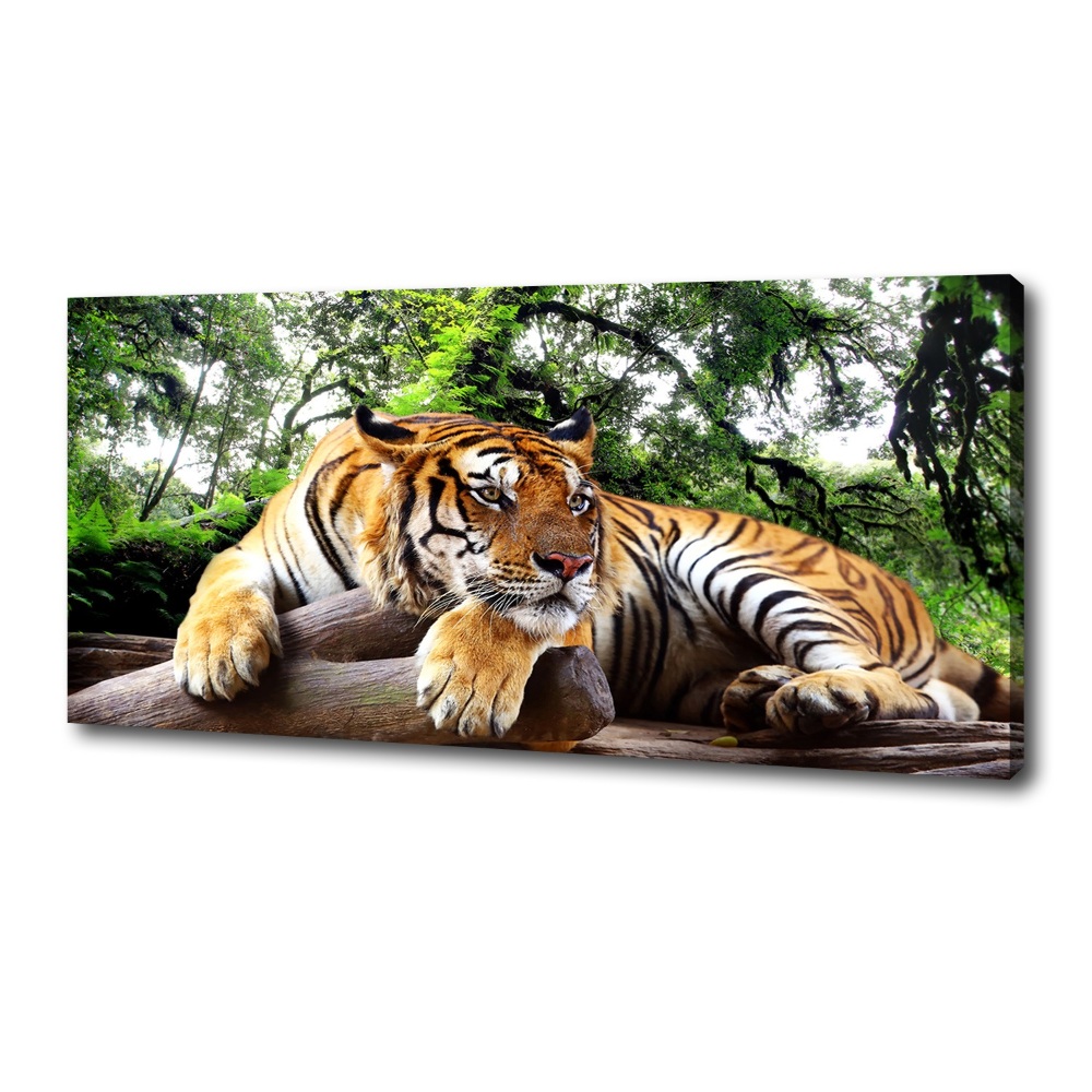 Canvas print Tiger on the rock