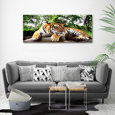 Canvas print Tiger on the rock