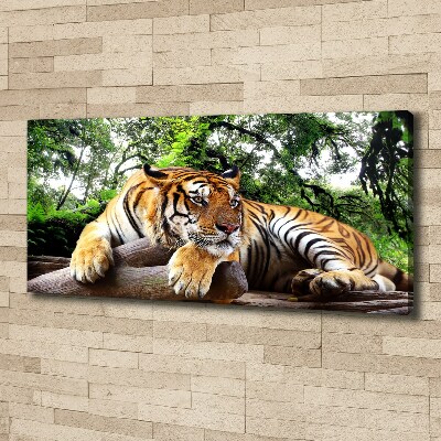 Canvas print Tiger on the rock