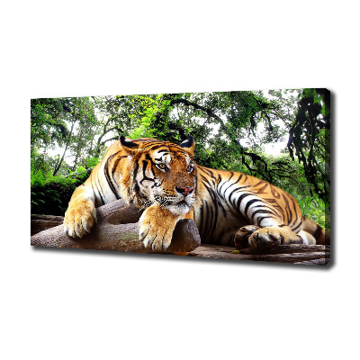 Canvas print Tiger on the rock