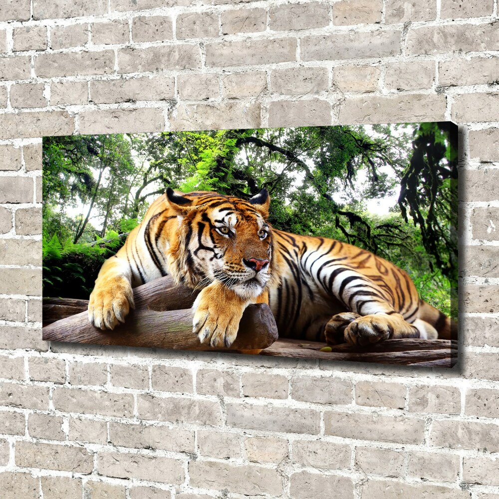 Canvas print Tiger on the rock