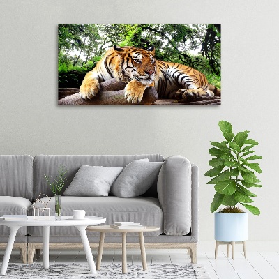 Canvas print Tiger on the rock