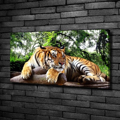 Canvas print Tiger on the rock