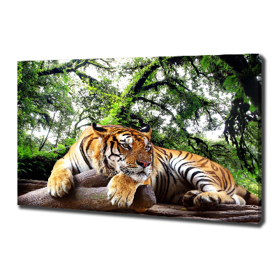 Canvas print Tiger on the rock