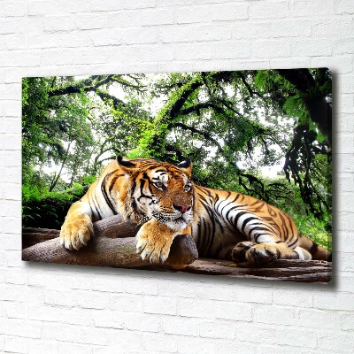 Canvas print Tiger on the rock