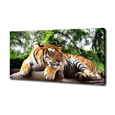 Canvas print Tiger on the rock