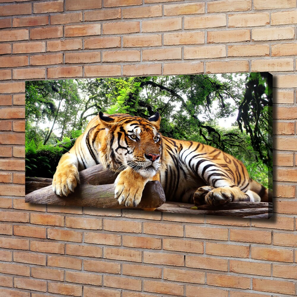 Canvas print Tiger on the rock