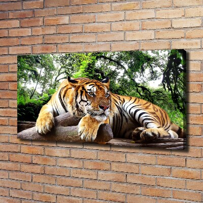 Canvas print Tiger on the rock