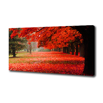 Canvas wall art Trees in autumn